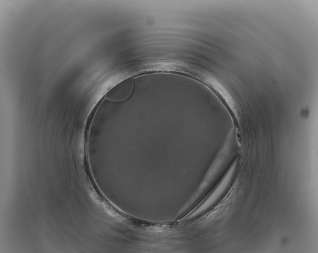 X0000094380994200711091557