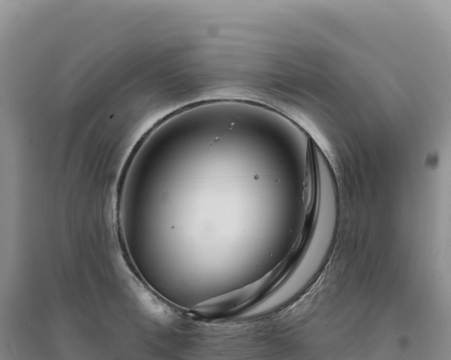 X0000094380996200711091557