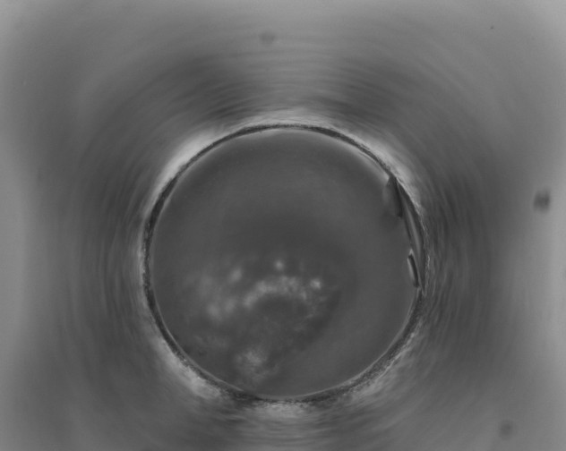 X0000094380998200711091557