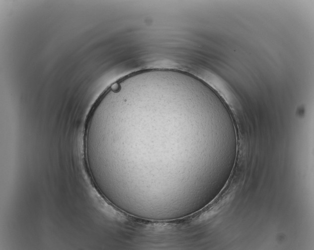 X0000094381000200711091557
