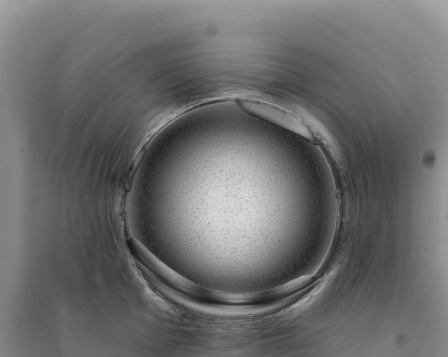 X0000094381001200711091557
