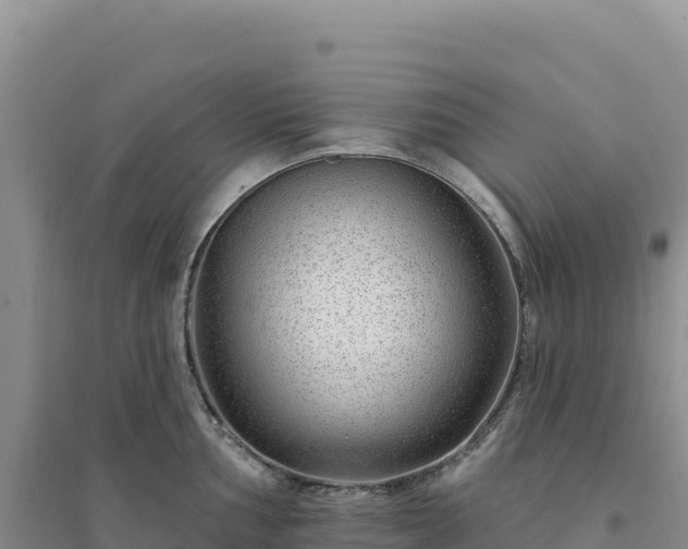 X0000094381002200711091557