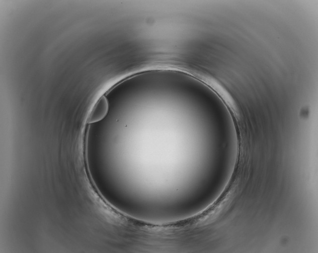 X0000094381004200711091557
