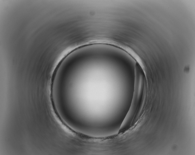 X0000094381005200711091557