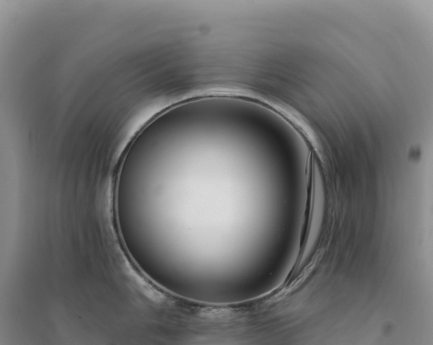 X0000094381006200711091557