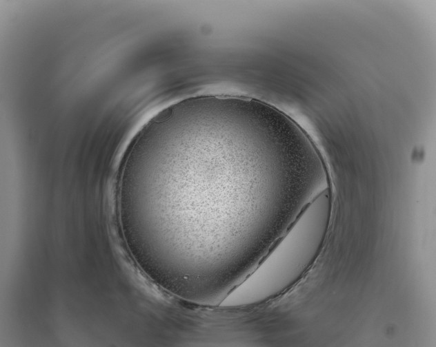 X0000094381008200711091557