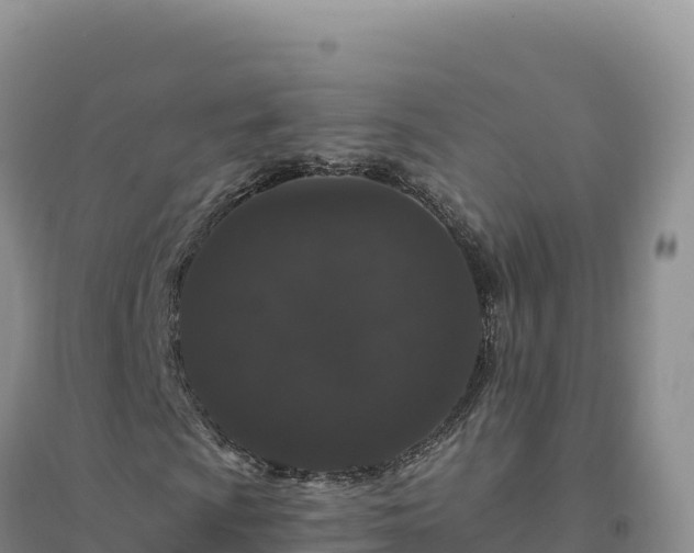 X0000094381009200711091556