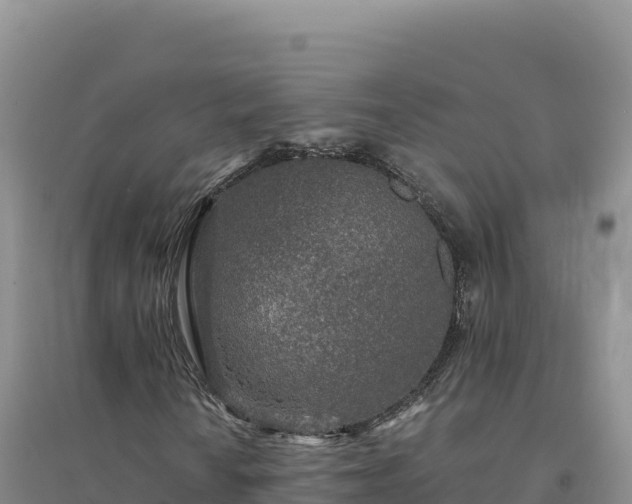 X0000094381010200711091556
