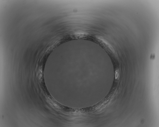 X0000094381011200711091556