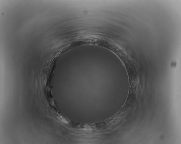 X0000094381013200711091556