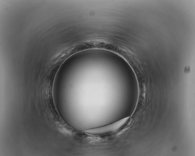 X0000094381014200711091556