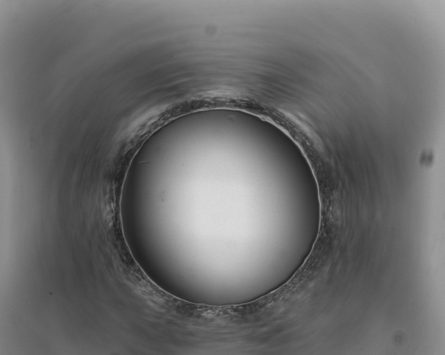 X0000094381015200711091556