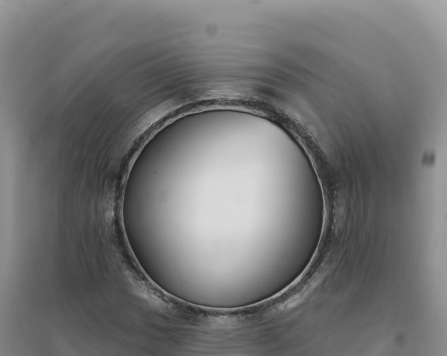X0000094381017200711091556