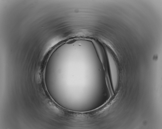 X0000094381018200711091556