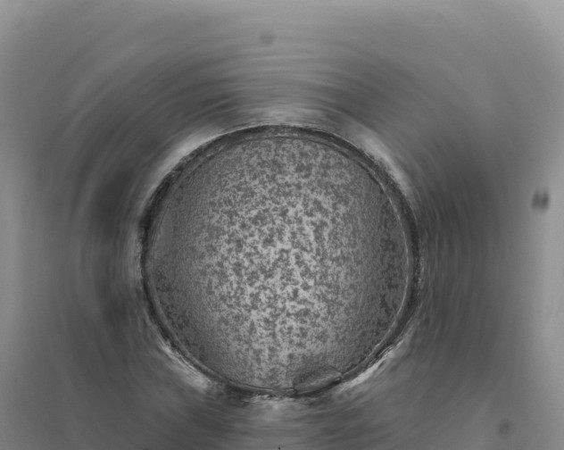 X0000094381019200711091556