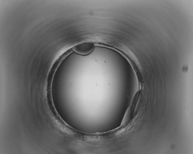 X0000094381020200711091556