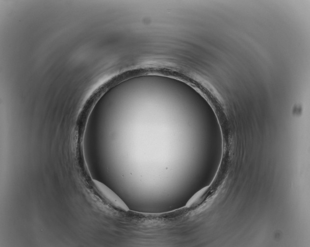 X0000094381021200711091556
