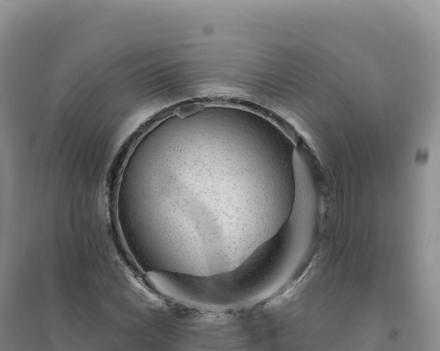 X0000094381022200711091556