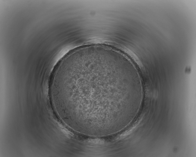X0000094381023200711091556