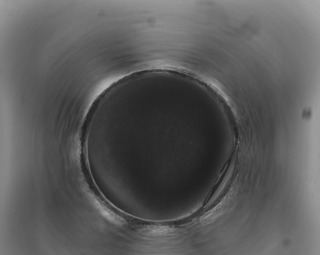 X0000094381024200711091556
