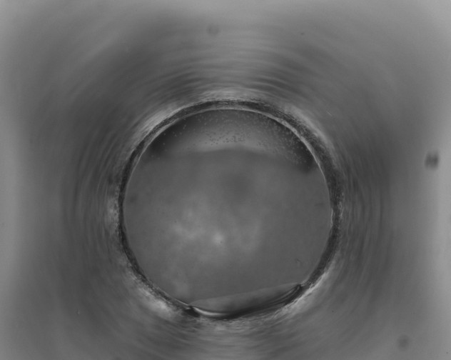 X0000094381025200711091556