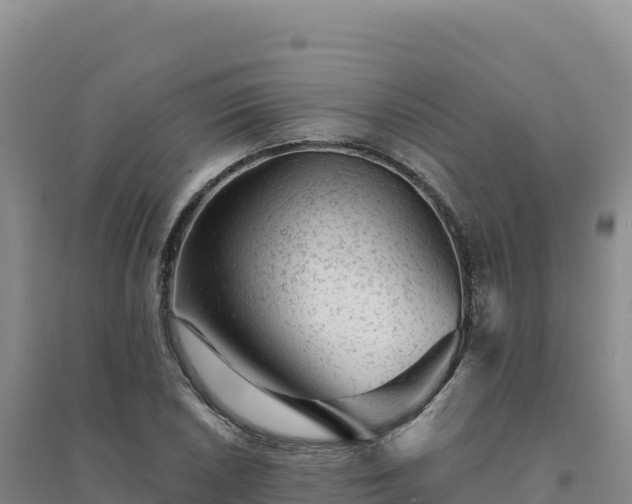 X0000094381026200711091556