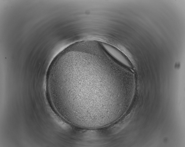 X0000094381028200711091556