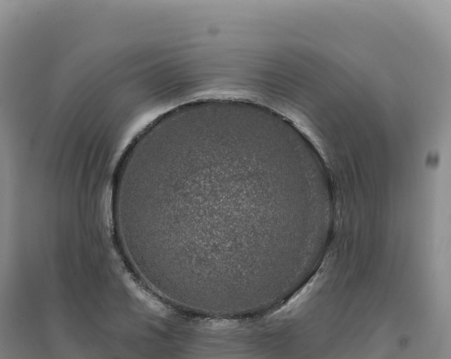 X0000094381030200711091556