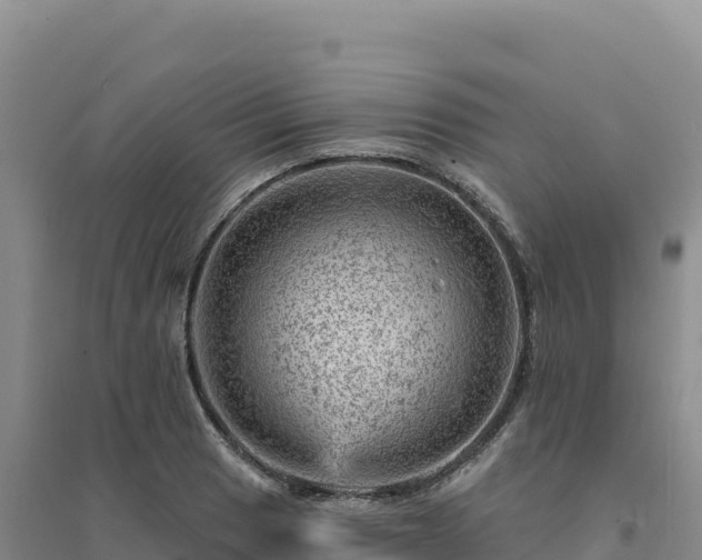 X0000094381033200711091556