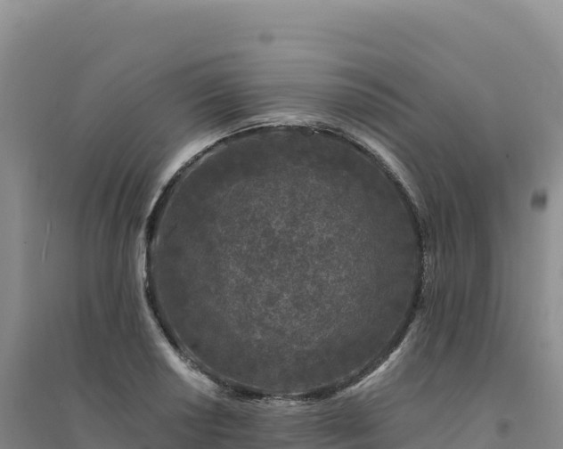 X0000094381034200711091556