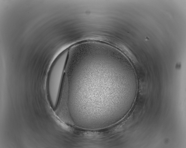 X0000094381036200711091556