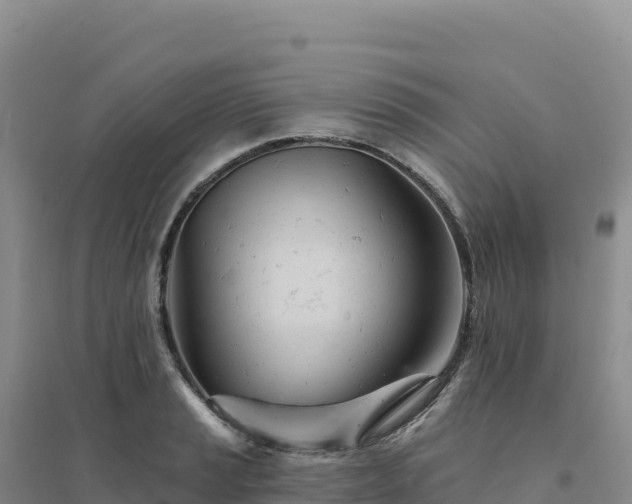 X0000094381037200711091556