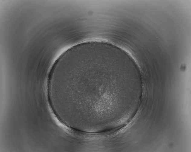 X0000094381038200711091556