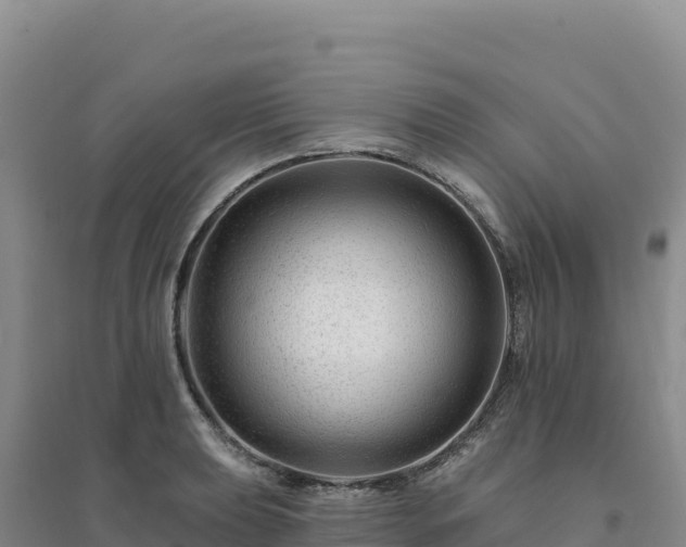X0000094381039200711091556