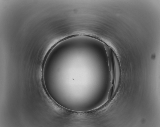 X0000094381040200711091556