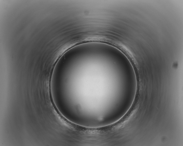 X0000094381041200711091556