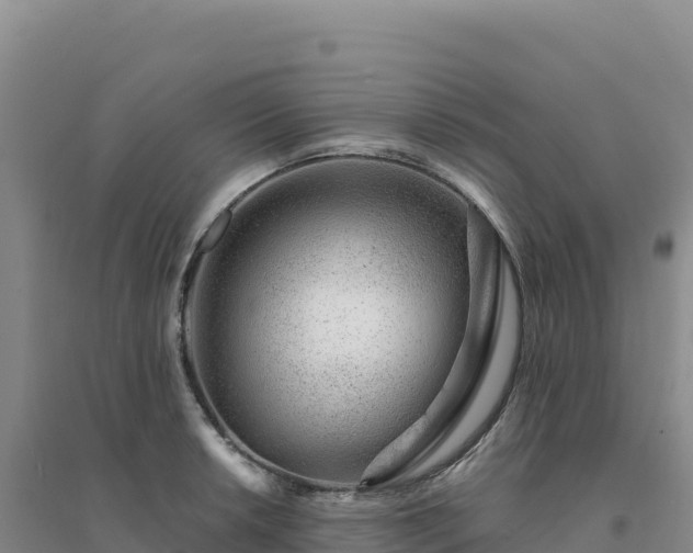 X0000094381042200711091556