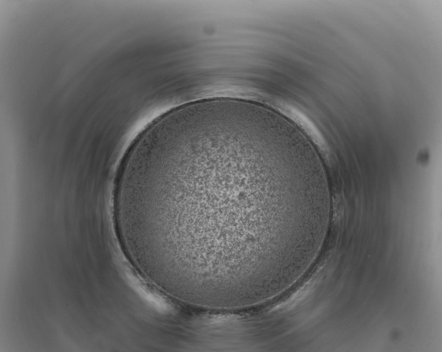X0000094381043200711091556