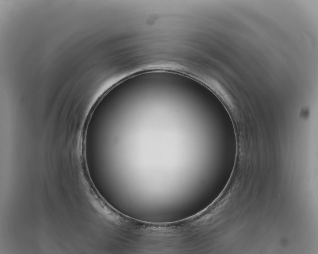 X0000094381044200711091556