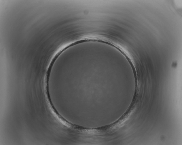 X0000094381045200711091556