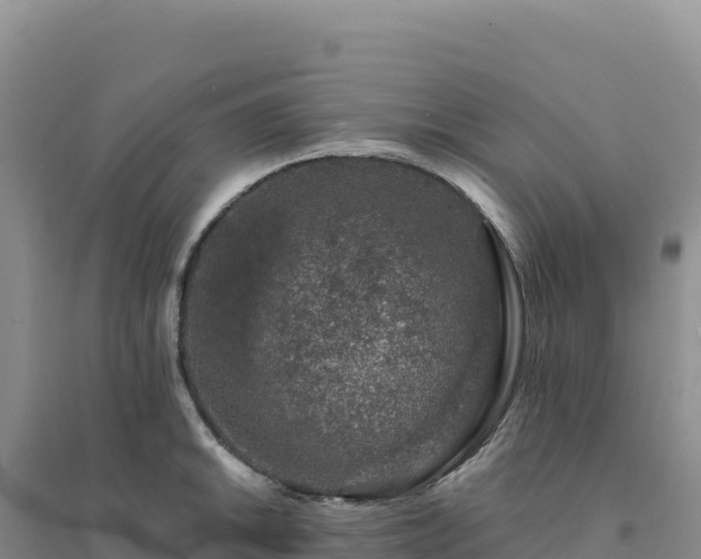 X0000094381046200711091556