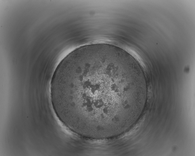 X0000094381047200711091556