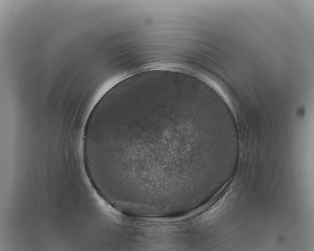 X0000094381050200711091556