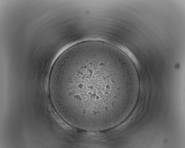 X0000094381052200711091557
