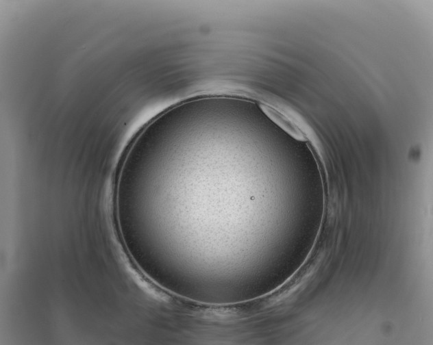 X0000094381053200711091557