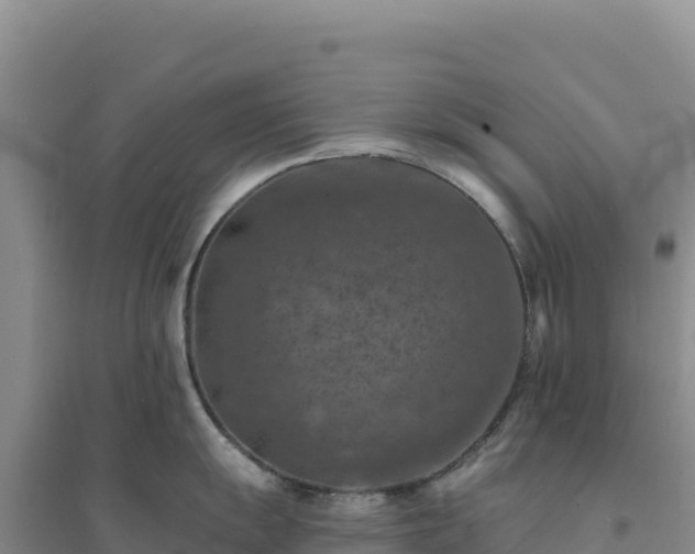 X0000094381055200711091557