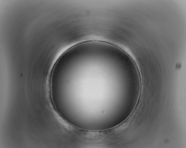 X0000094381056200711091557
