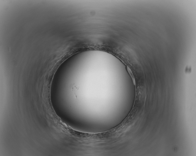 X0000094381057200711091556