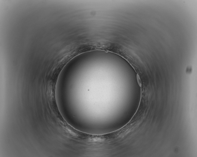 X0000094381058200711091556