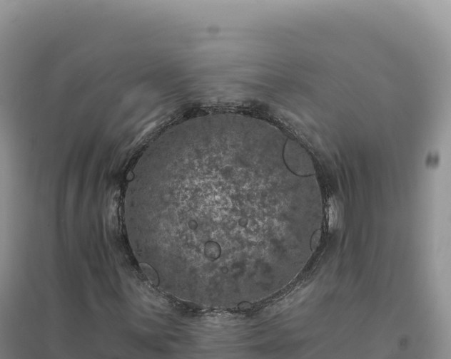 X0000094381059200711091556